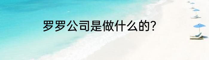 罗罗公司是做什么的？