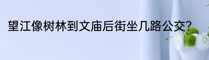 望江像树林到文庙后街坐几路公交？