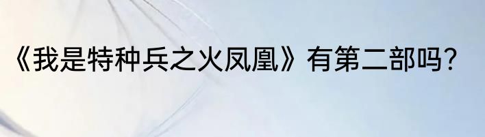《我是特种兵之火凤凰》有第二部吗？