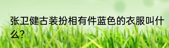 张卫健古装扮相有件蓝色的衣服叫什么？