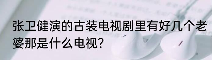 张卫健演的古装电视剧里有好几个老婆那是什么电视？