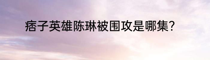 痞子英雄陈琳被围攻是哪集？