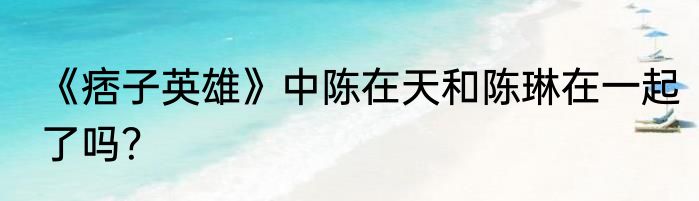 《痞子英雄》中陈在天和陈琳在一起了吗？