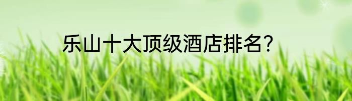 乐山十大顶级酒店排名？