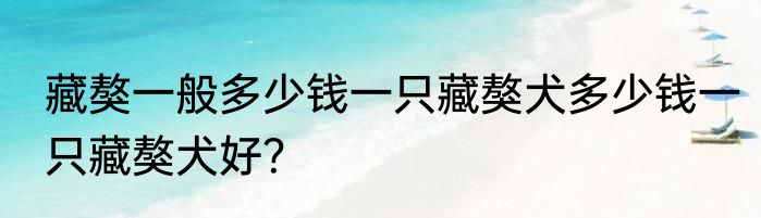 藏獒一般多少钱一只藏獒犬多少钱一只藏獒犬好？