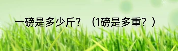 一磅是多少斤？（1磅是多重？）