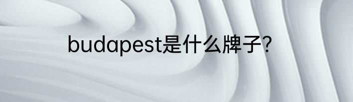 budapest是什么牌子？