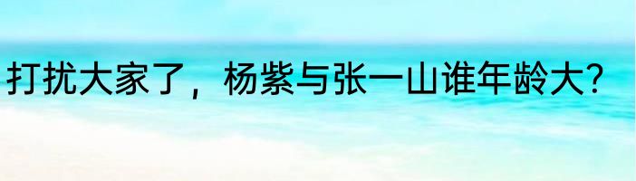打扰大家了，杨紫与张一山谁年龄大？
