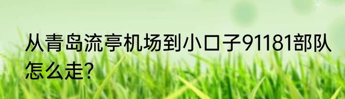 从青岛流亭机场到小口子91181部队怎么走？