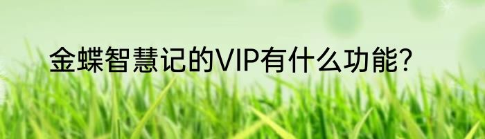 金蝶智慧记的VIP有什么功能？