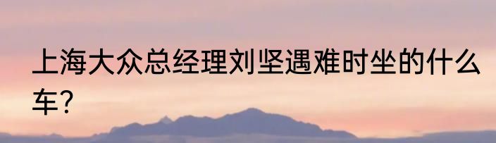 上海大众总经理刘坚遇难时坐的什么车？