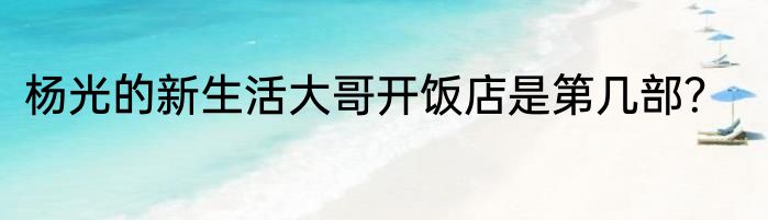杨光的新生活大哥开饭店是第几部？
