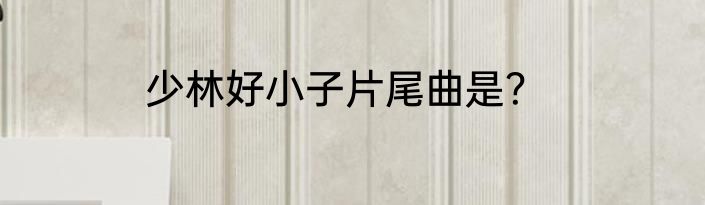 少林好小子片尾曲是？