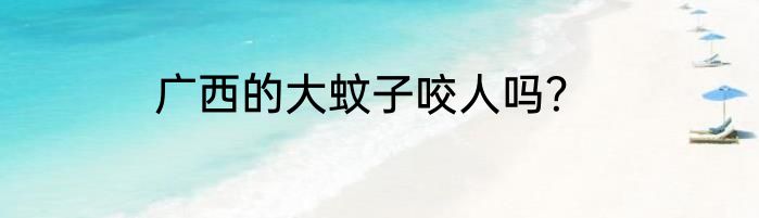 广西的大蚊子咬人吗？