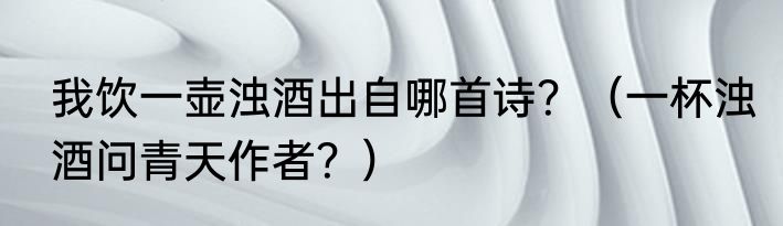 我饮一壶浊酒出自哪首诗？（一杯浊酒问青天作者？）