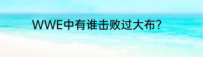 WWE中有谁击败过大布？