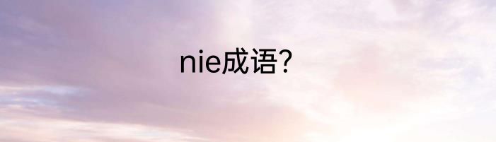 nie成语？