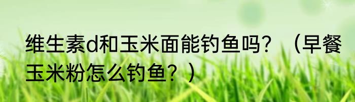 维生素d和玉米面能钓鱼吗？（早餐玉米粉怎么钓鱼？）