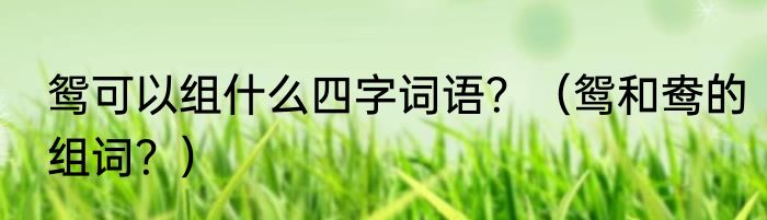 鸳可以组什么四字词语？（鸳和鸯的组词？）