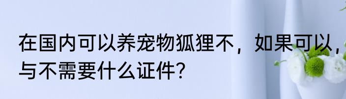 在国内可以养宠物狐狸不，如果可以，与不需要什么证件？