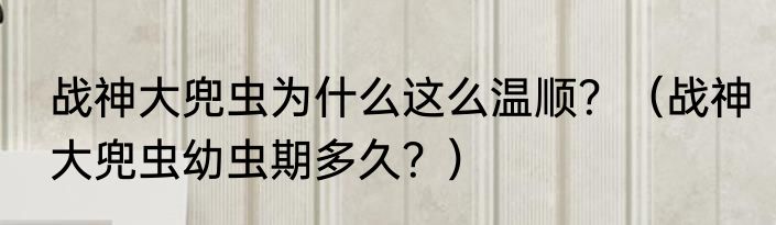 战神大兜虫为什么这么温顺?(战神大兜虫幼虫期多久?)