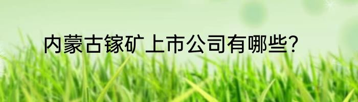 内蒙古镓矿上市公司有哪些？