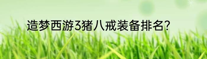 造梦西游3猪八戒装备排名？