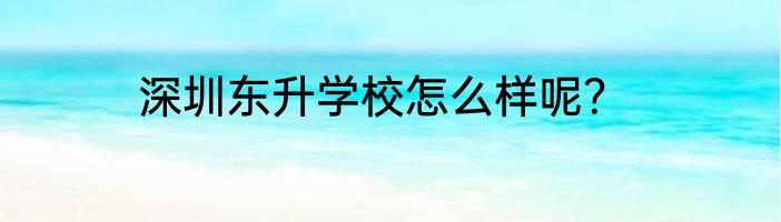 深圳东升学校怎么样呢？