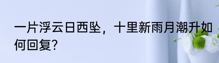 一片浮云日西坠，十里新雨月潮升如何回复？