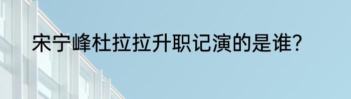 宋宁峰杜拉拉升职记演的是谁？