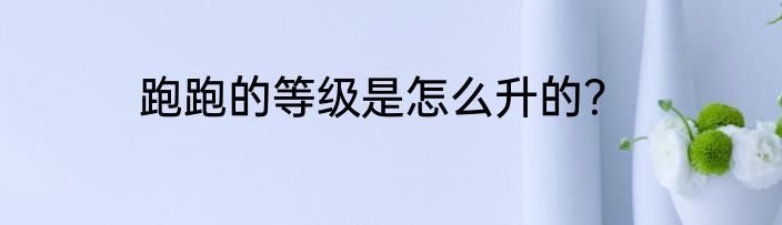 跑跑的等级是怎么升的？