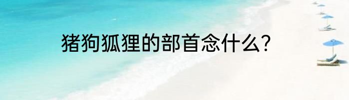 猪狗狐狸的部首念什么？