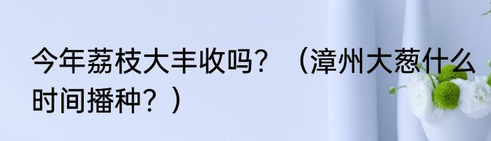 今年荔枝大丰收吗？（漳州大葱什么时间播种？）