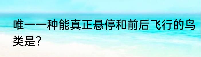 唯一一种能真正悬停和前后飞行的鸟类是？