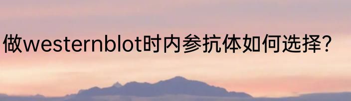 做westernblot时内参抗体如何选择？