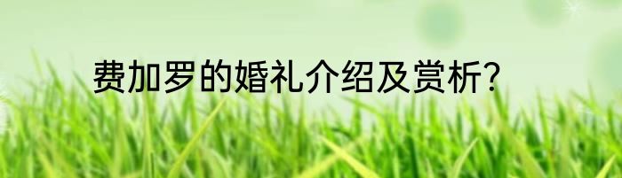 费加罗的婚礼介绍及赏析？