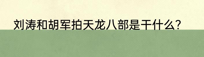 刘涛和胡军拍天龙八部是干什么？