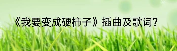 《我要变成硬柿子》插曲及歌词？