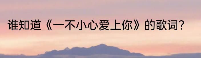 谁知道《一不小心爱上你》的歌词？
