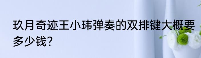玖月奇迹王小玮弹奏的双排键大概要多少钱？