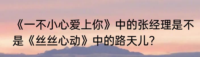 《一不小心爱上你》中的张经理是不是《丝丝心动》中的路天儿？