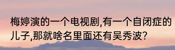 梅婷演的一个电视剧,有一个自闭症的儿子,那就啥名里面还有吴秀波？
