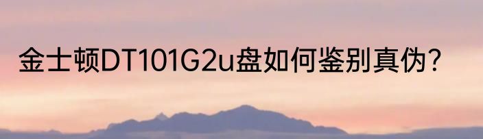 金士顿DT101G2u盘如何鉴别真伪？