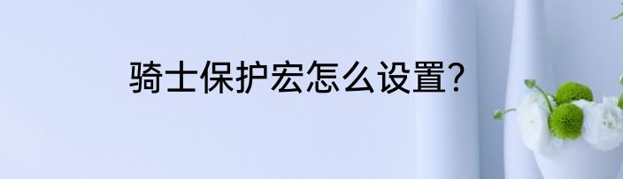 骑士保护宏怎么设置？