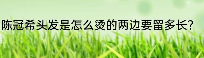 陈冠希头发是怎么烫的两边要留多长？