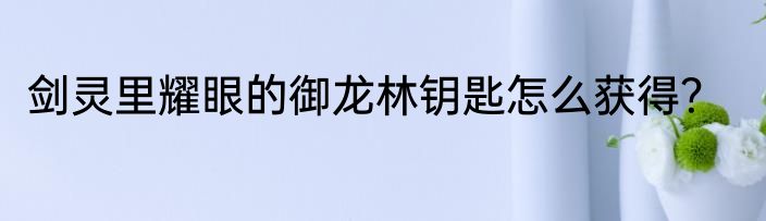 剑灵里耀眼的御龙林钥匙怎么获得？