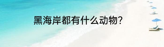 黑海岸都有什么动物？