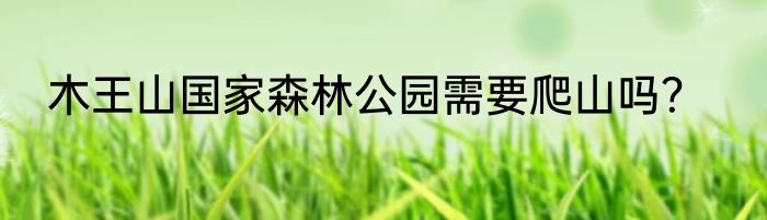 木王山国家森林公园需要爬山吗？