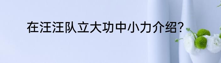 在汪汪队立大功中小力介绍？