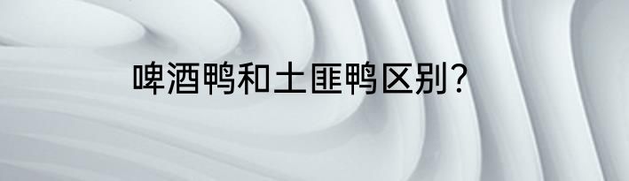 啤酒鸭和土匪鸭区别？